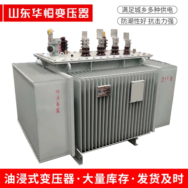S13-10000/35昭平昭平昭平电力变压器厂家