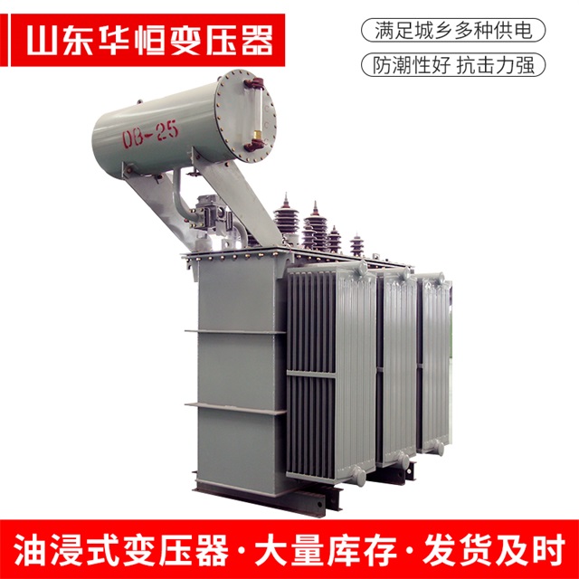 S11-10000/35昭平昭平昭平电力变压器厂家