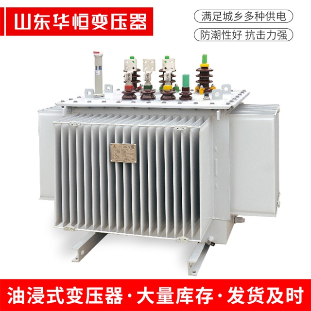 S13-10000/35昭平昭平昭平电力变压器